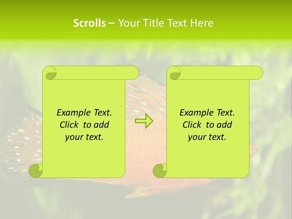 Molly Tropical Velifera PowerPoint Template