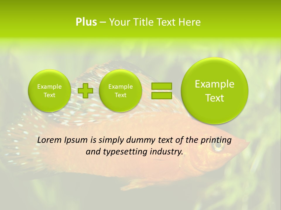 Molly Tropical Velifera PowerPoint Template