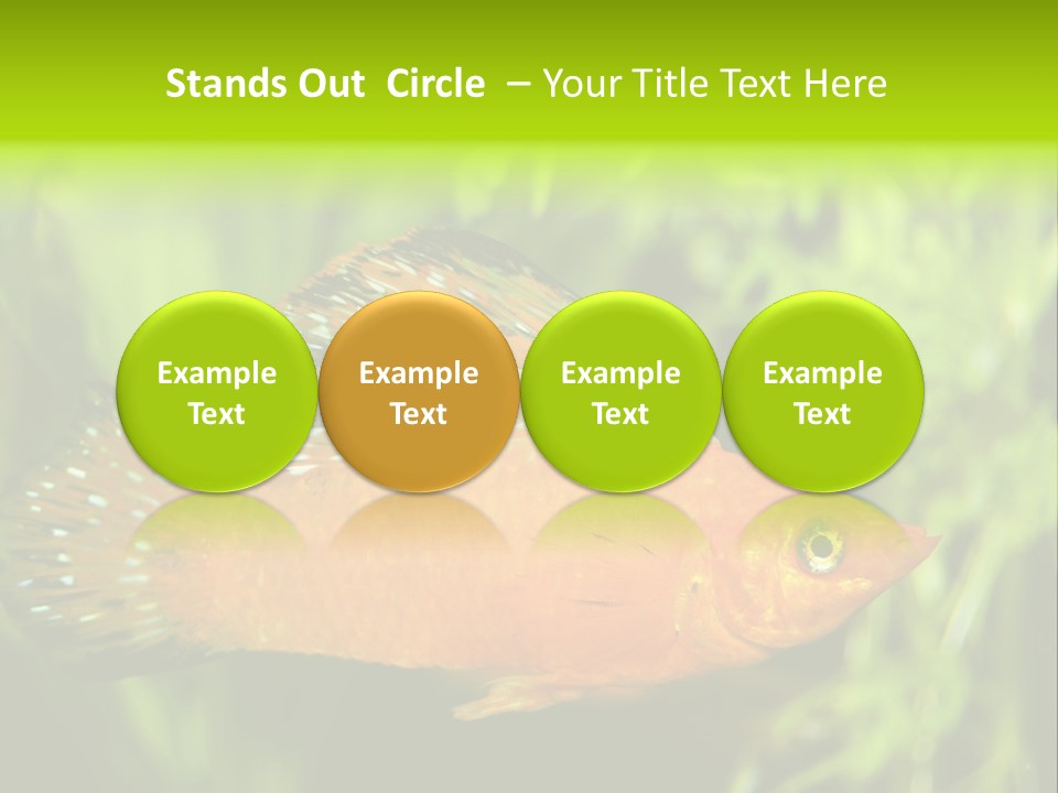 Molly Tropical Velifera PowerPoint Template