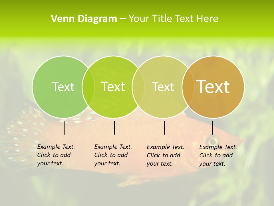 Molly Tropical Velifera PowerPoint Template