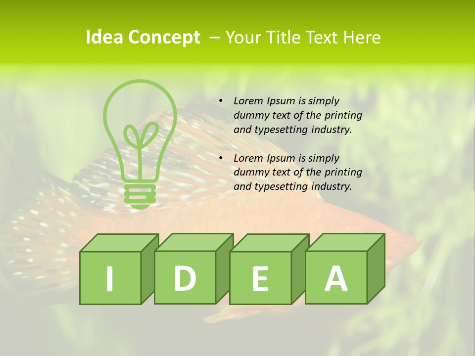 Molly Tropical Velifera PowerPoint Template