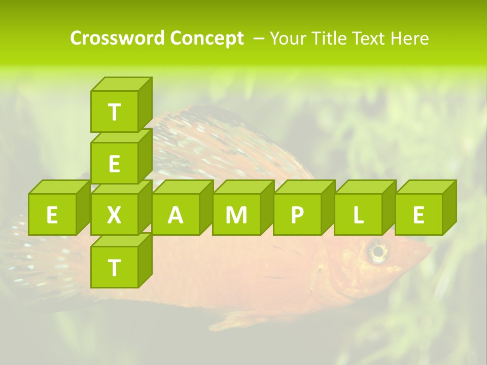 Molly Tropical Velifera PowerPoint Template