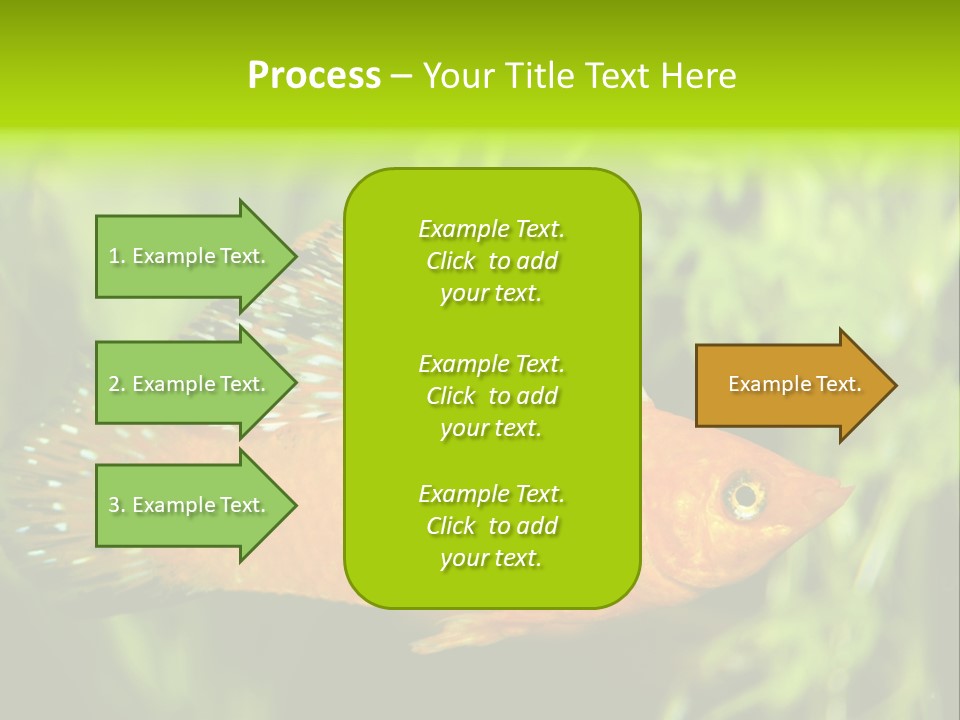Molly Tropical Velifera PowerPoint Template