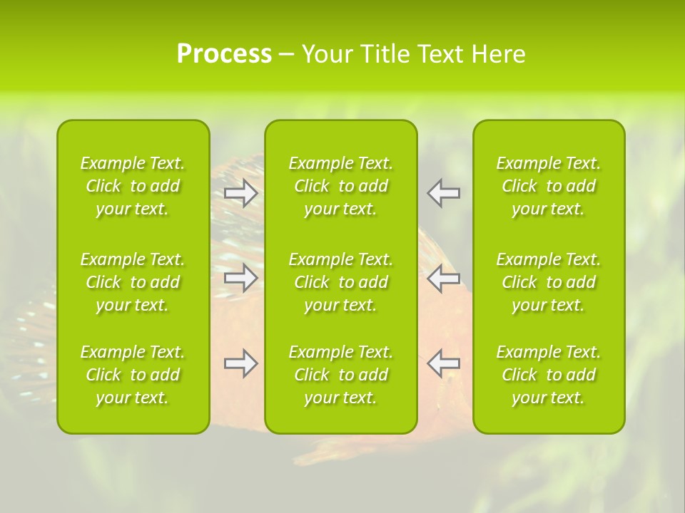 Molly Tropical Velifera PowerPoint Template