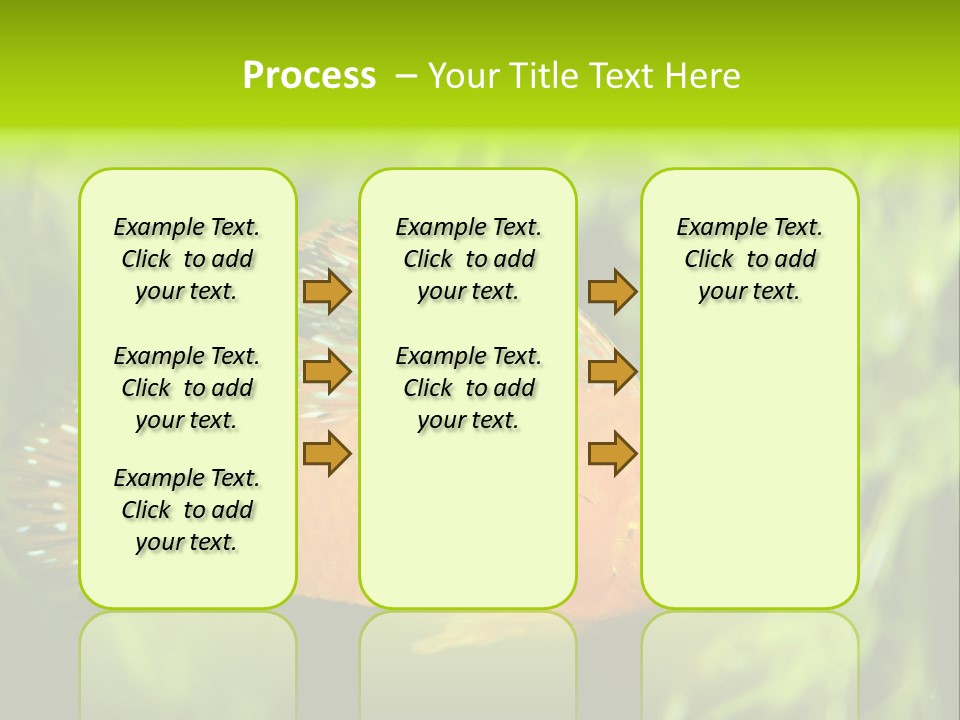 Molly Tropical Velifera PowerPoint Template