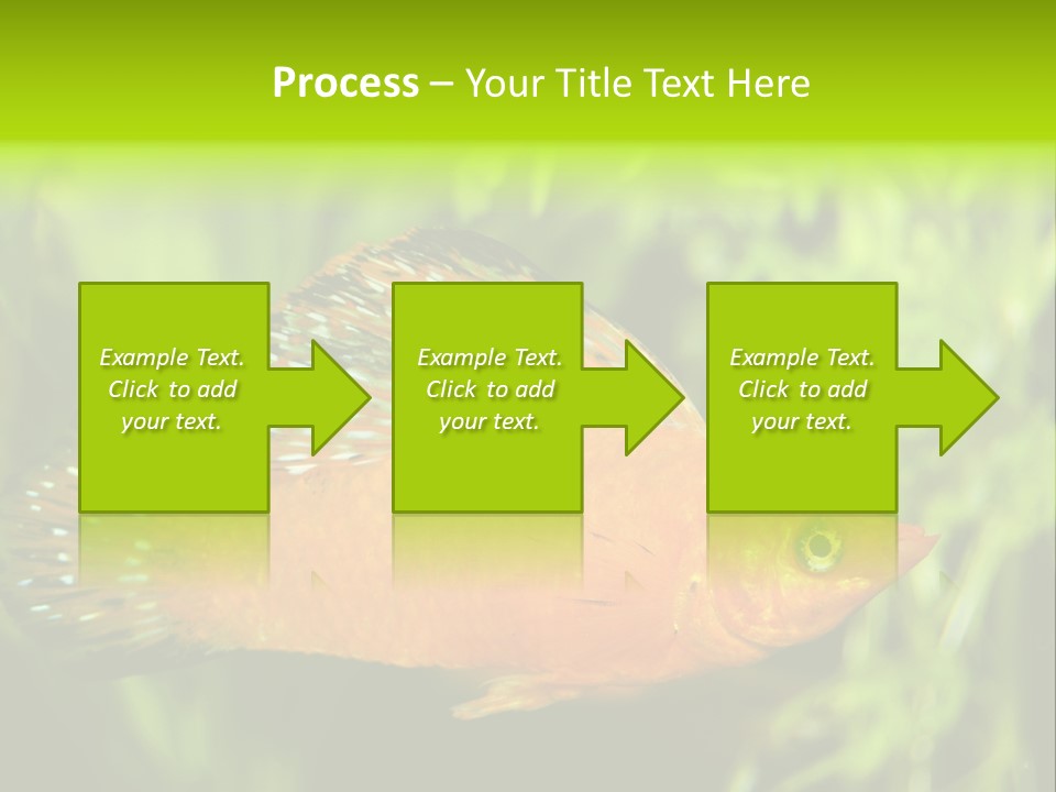 Molly Tropical Velifera PowerPoint Template