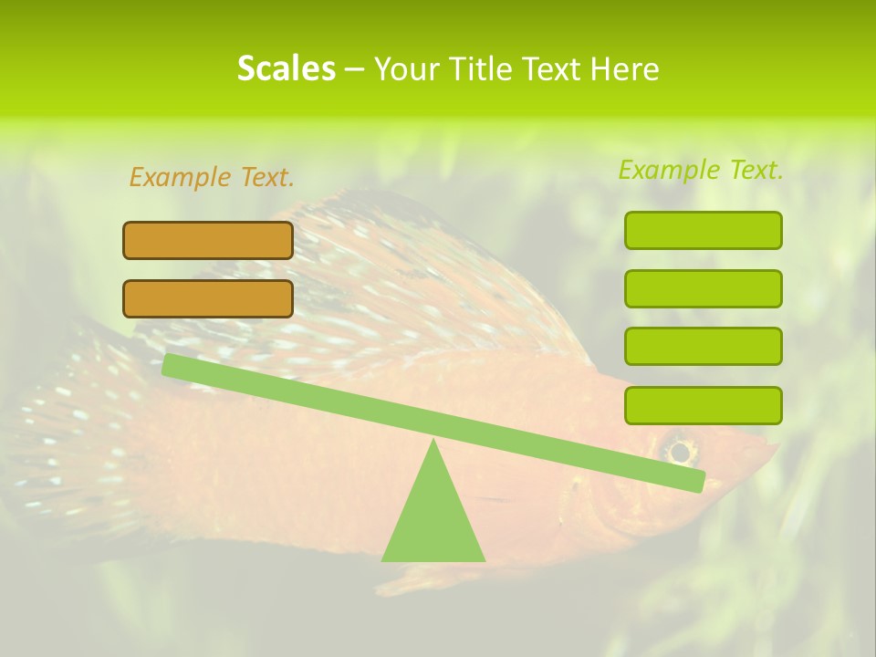 Molly Tropical Velifera PowerPoint Template