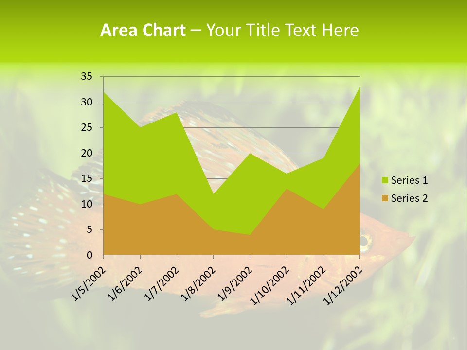 Molly Tropical Velifera PowerPoint Template