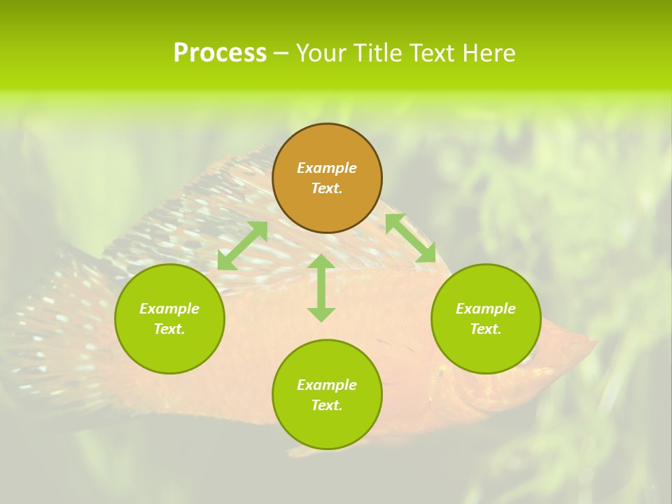 Molly Tropical Velifera PowerPoint Template