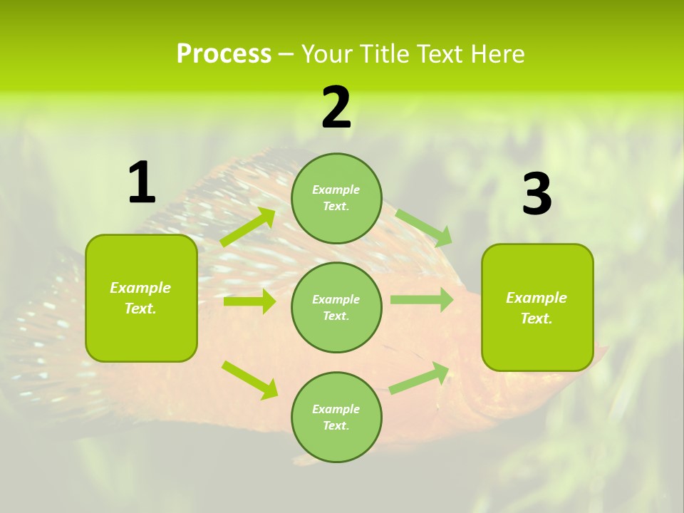 Molly Tropical Velifera PowerPoint Template