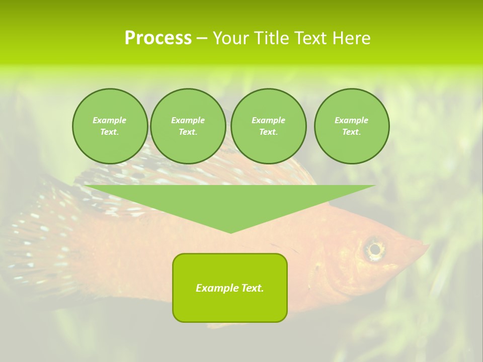 Molly Tropical Velifera PowerPoint Template