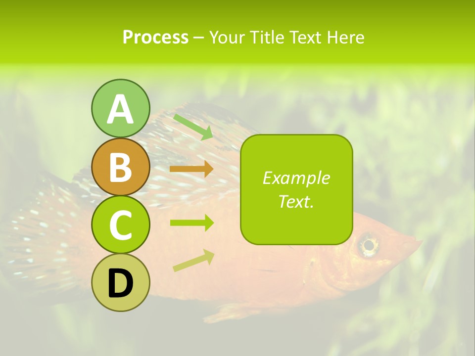 Molly Tropical Velifera PowerPoint Template