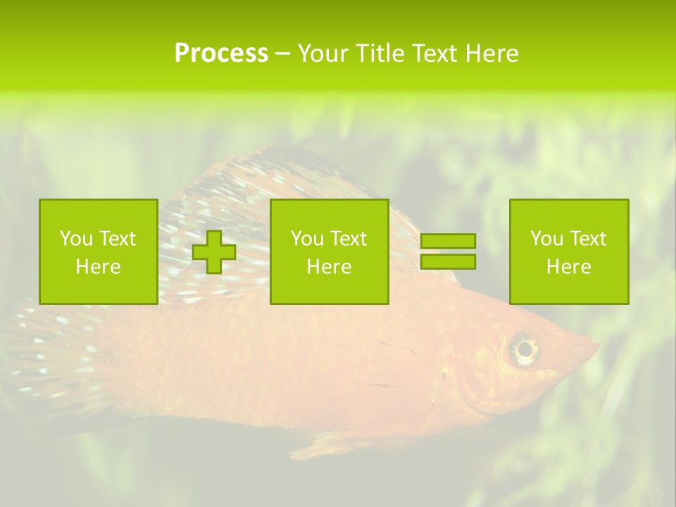 Molly Tropical Velifera PowerPoint Template