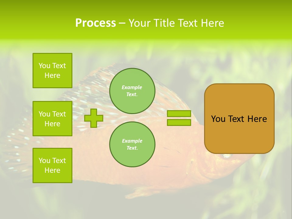 Molly Tropical Velifera PowerPoint Template