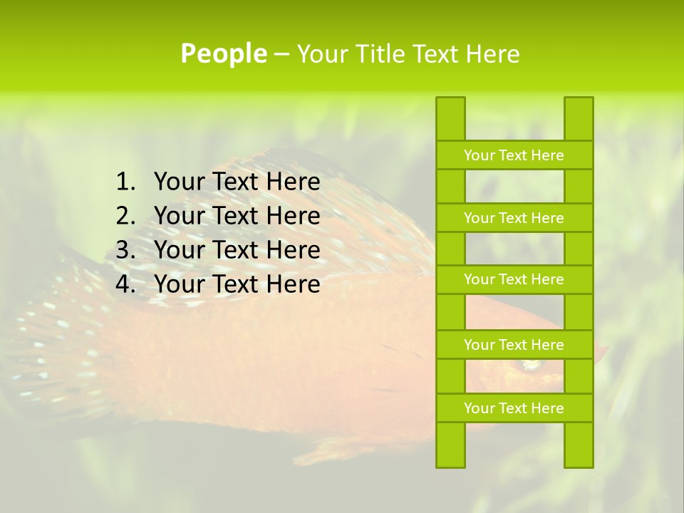 Molly Tropical Velifera PowerPoint Template