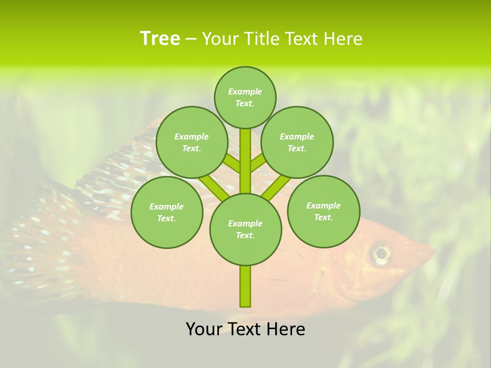 Molly Tropical Velifera PowerPoint Template