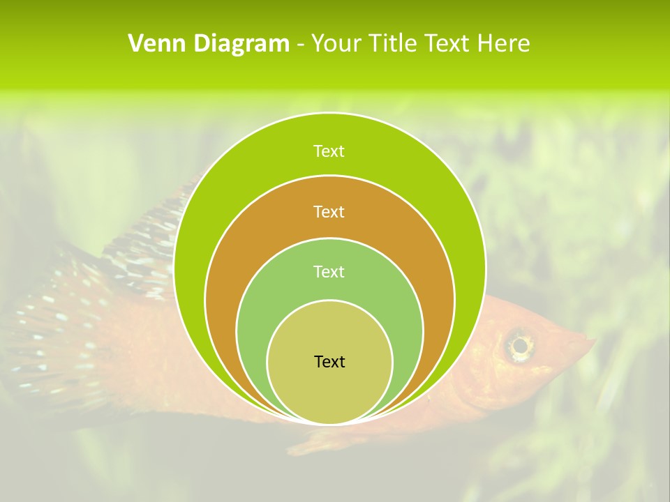 Molly Tropical Velifera PowerPoint Template