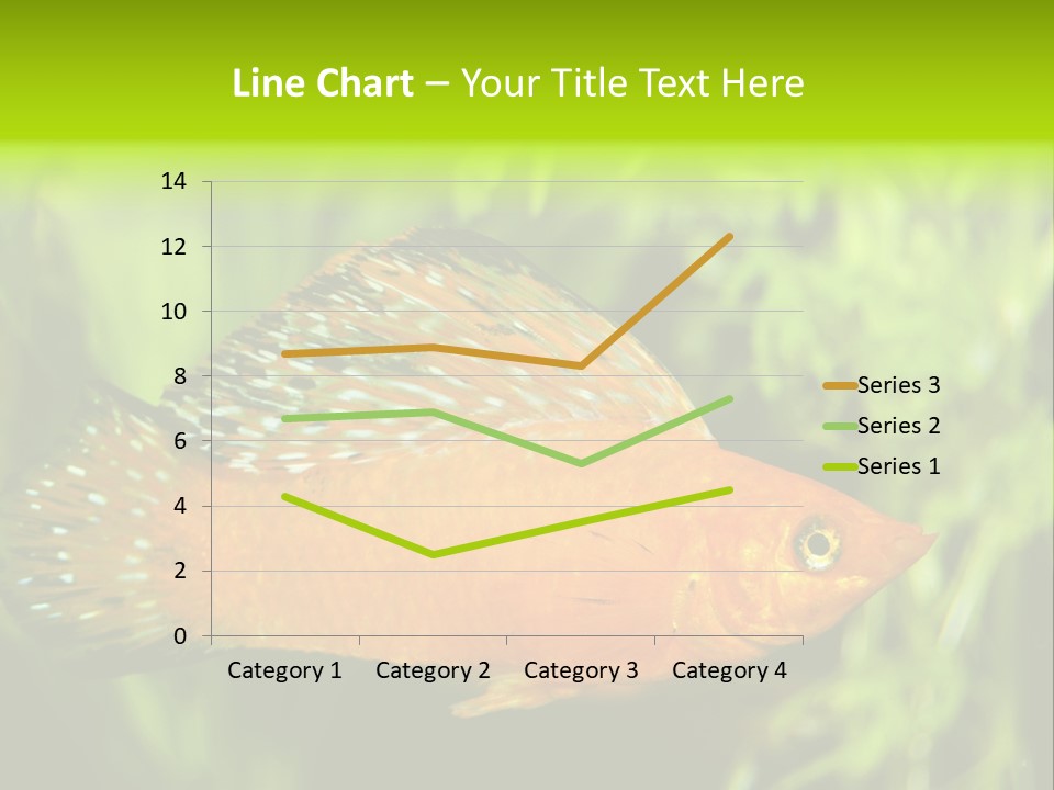 Molly Tropical Velifera PowerPoint Template