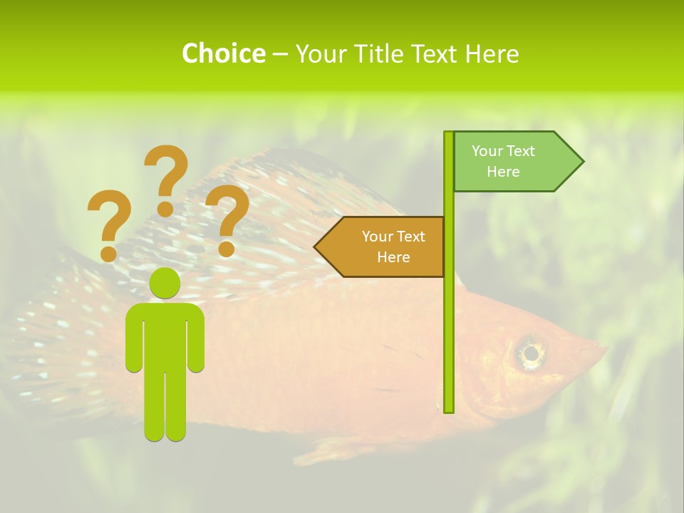 Molly Tropical Velifera PowerPoint Template