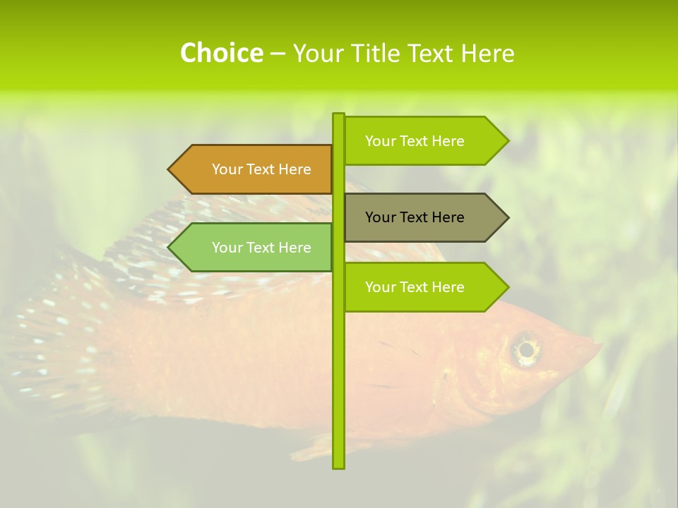 Molly Tropical Velifera PowerPoint Template