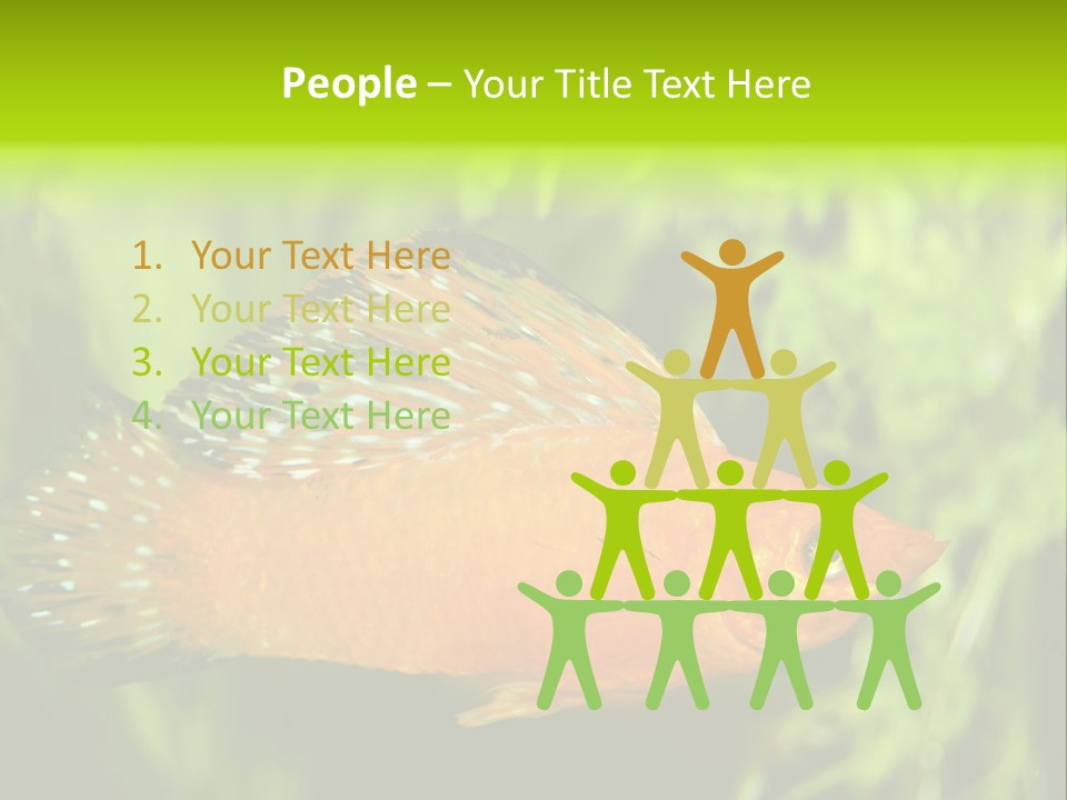 Molly Tropical Velifera PowerPoint Template