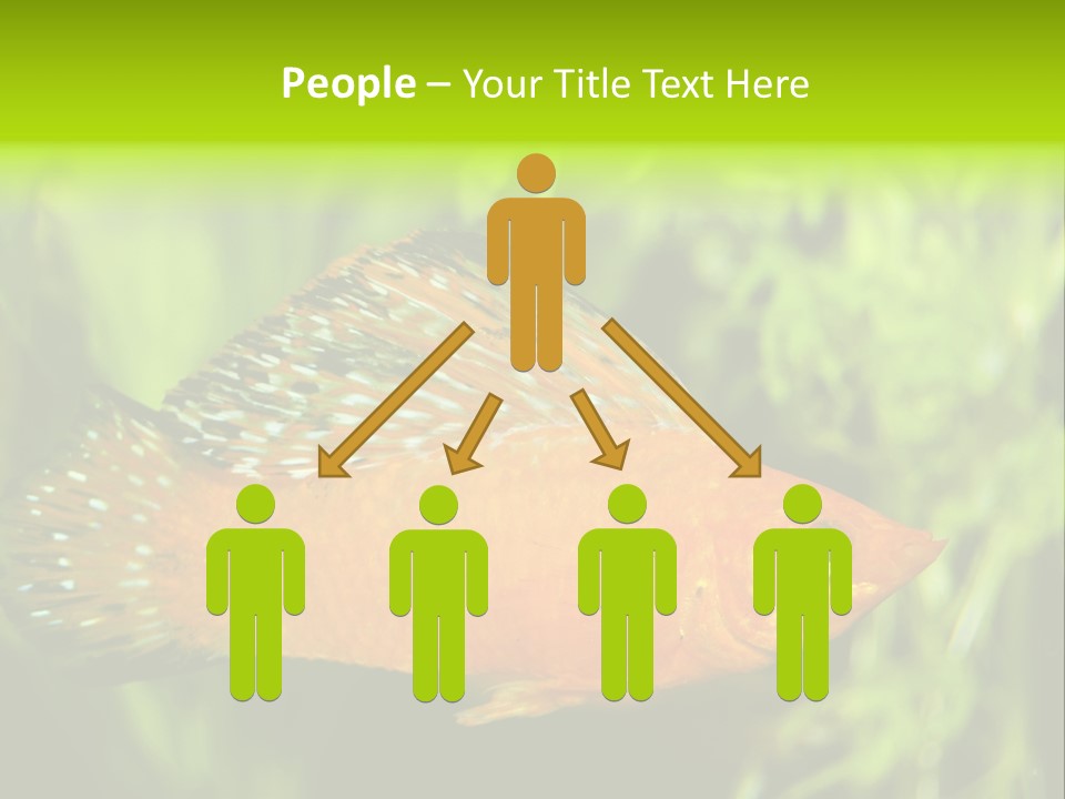 Molly Tropical Velifera PowerPoint Template