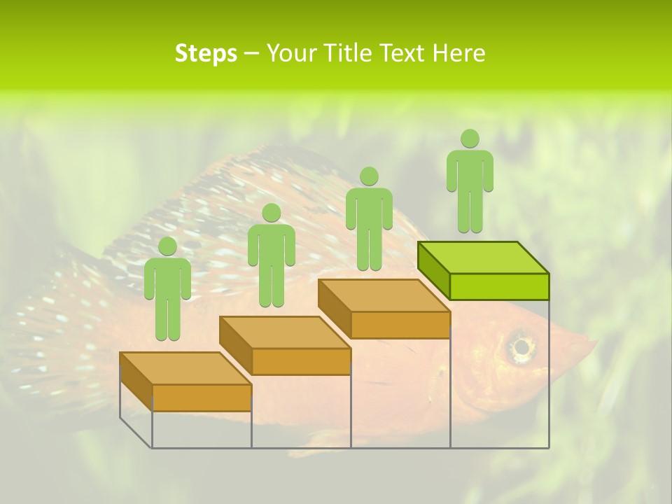 Molly Tropical Velifera PowerPoint Template