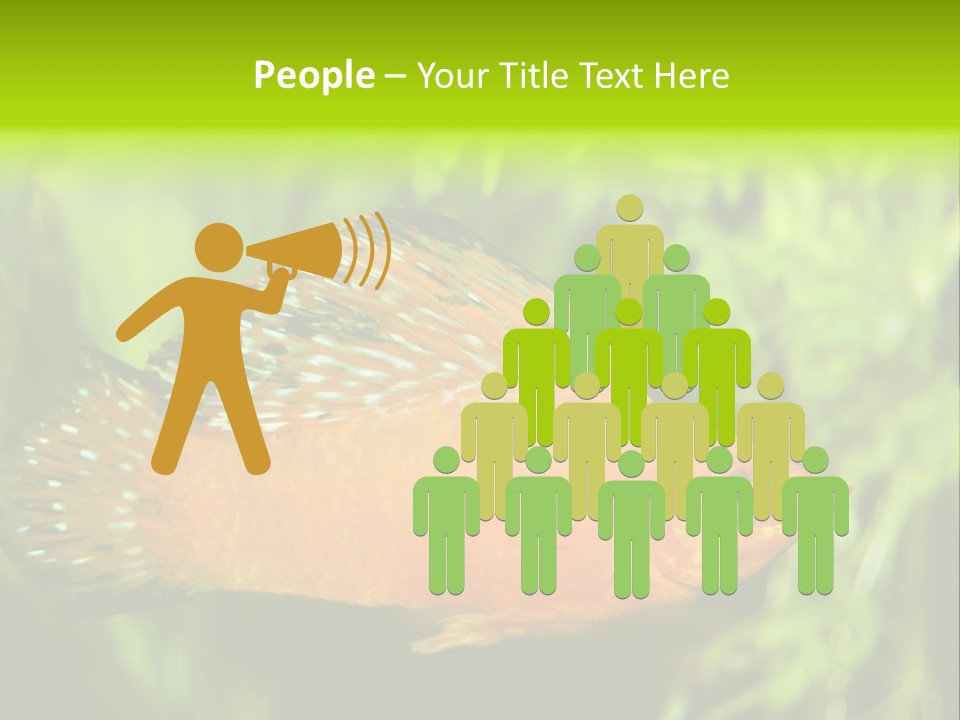 Molly Tropical Velifera PowerPoint Template