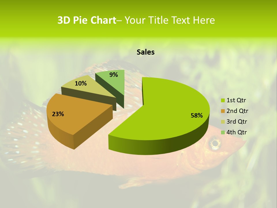 Molly Tropical Velifera PowerPoint Template
