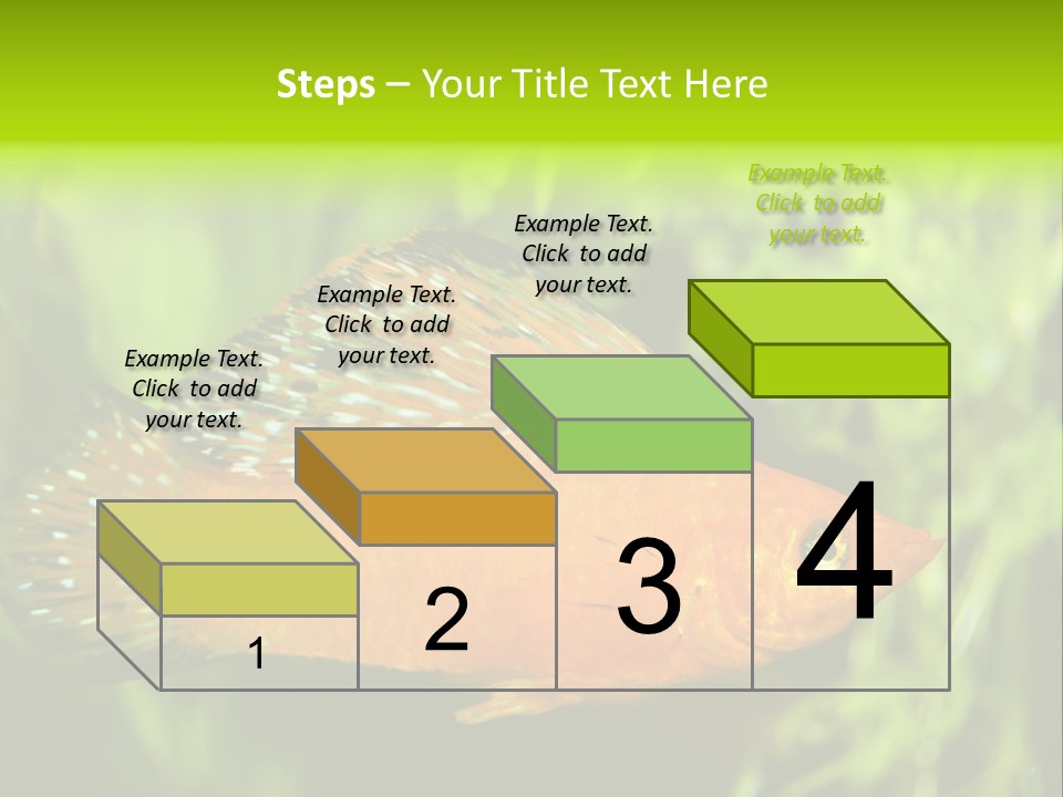 Molly Tropical Velifera PowerPoint Template