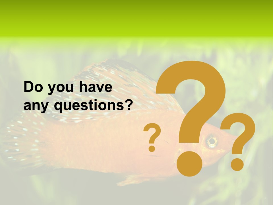 Molly Tropical Velifera PowerPoint Template