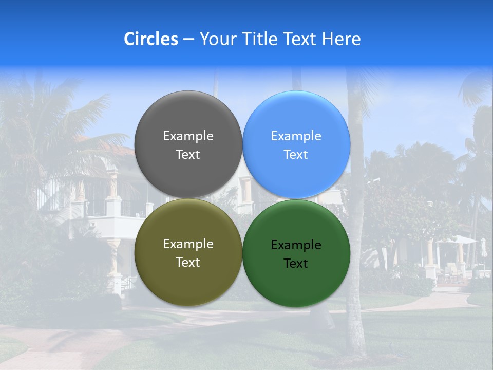 Trees Palm Plus PowerPoint Template