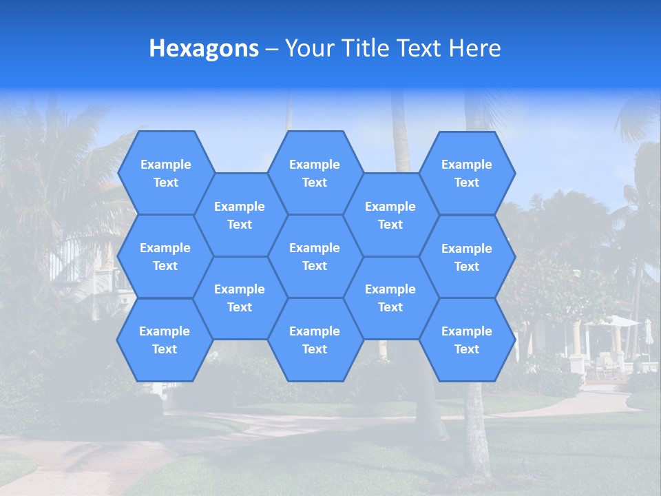 Trees Palm Plus PowerPoint Template