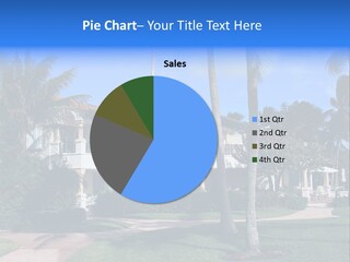 Trees Palm Plus PowerPoint Template