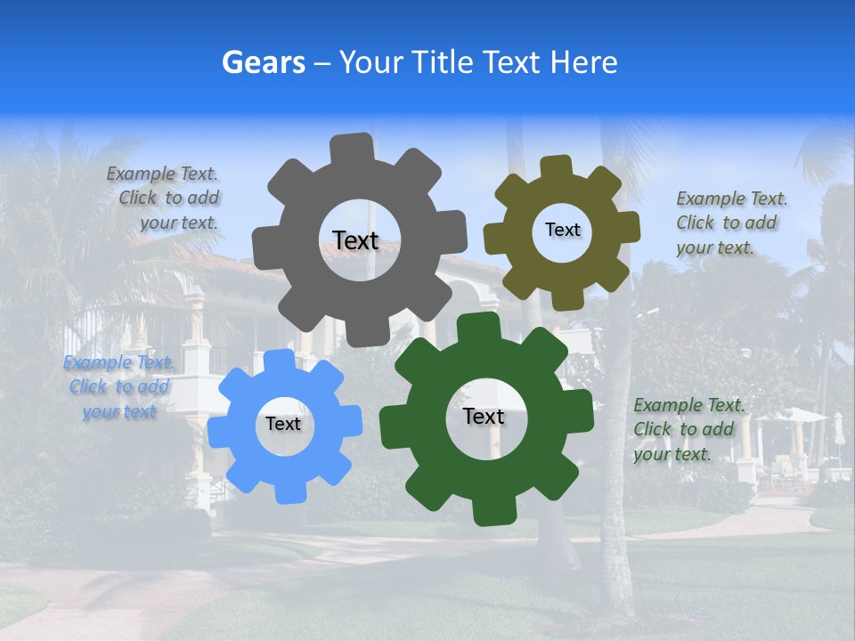 Trees Palm Plus PowerPoint Template