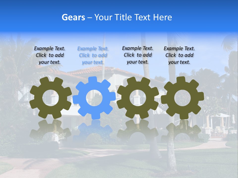 Trees Palm Plus PowerPoint Template