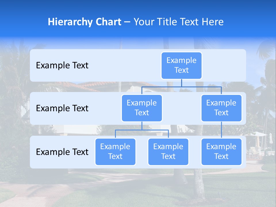 Trees Palm Plus PowerPoint Template