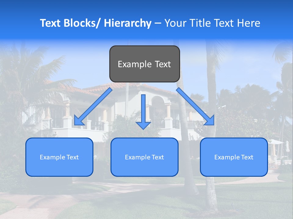 Trees Palm Plus PowerPoint Template