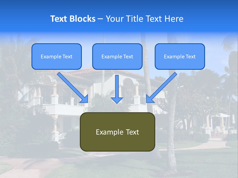 Trees Palm Plus PowerPoint Template