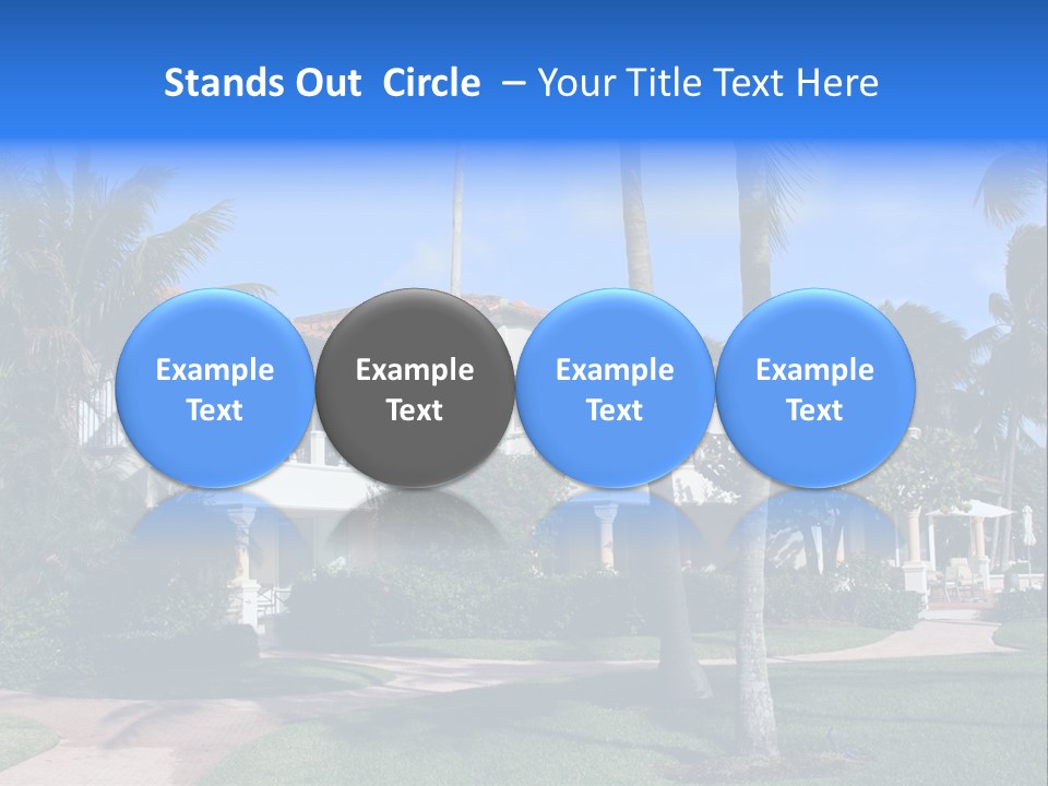 Trees Palm Plus PowerPoint Template