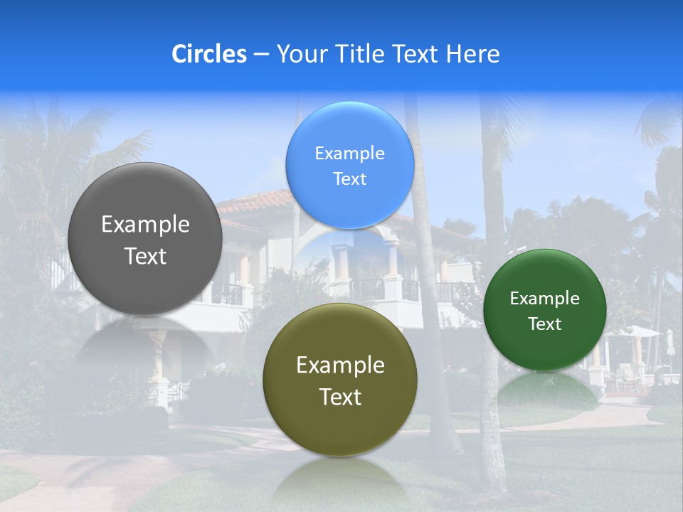 Trees Palm Plus PowerPoint Template