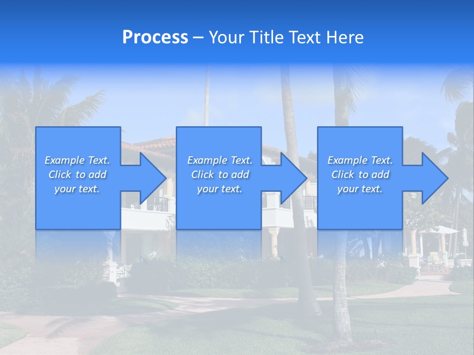 Trees Palm Plus PowerPoint Template