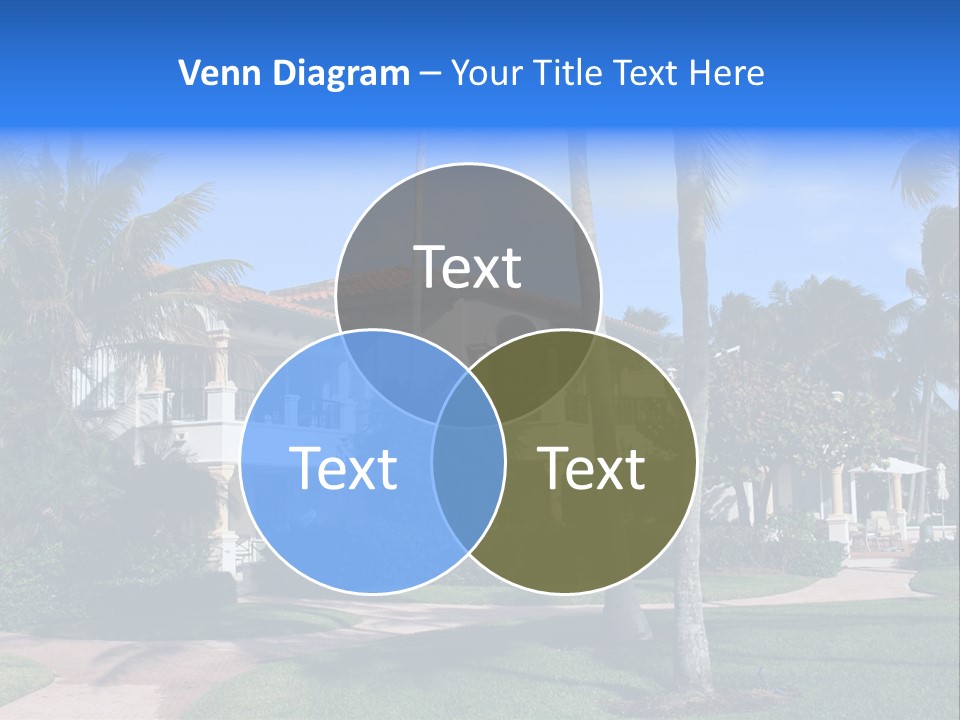 Trees Palm Plus PowerPoint Template