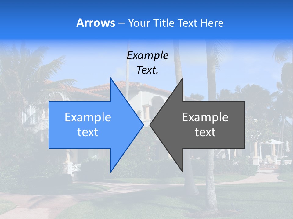 Trees Palm Plus PowerPoint Template