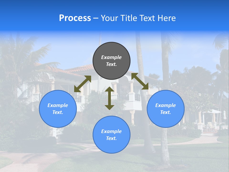 Trees Palm Plus PowerPoint Template