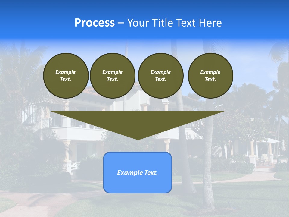 Trees Palm Plus PowerPoint Template