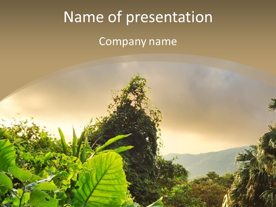 A Picture Of A Jungle With Trees And Mountains In The Background PowerPoint Template