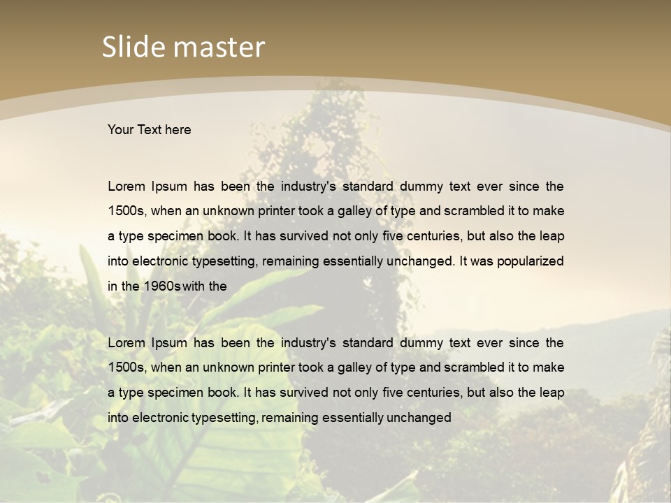 A Picture Of A Jungle With Trees And Mountains In The Background PowerPoint Template