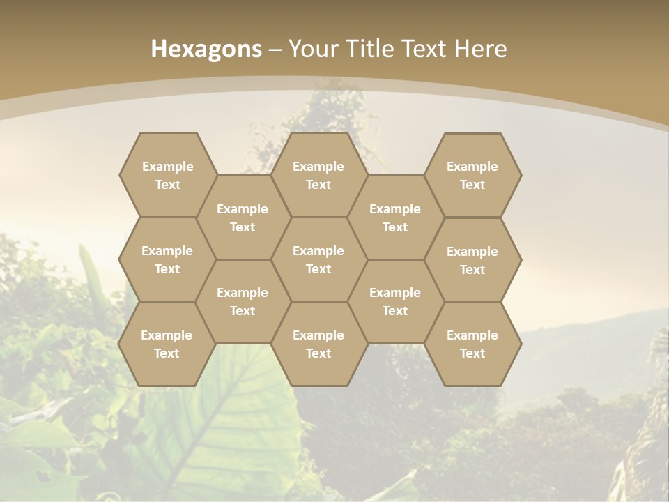 A Picture Of A Jungle With Trees And Mountains In The Background PowerPoint Template