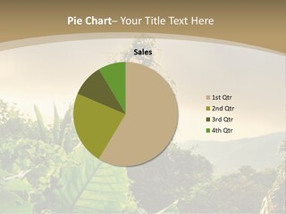 A Picture Of A Jungle With Trees And Mountains In The Background PowerPoint Template